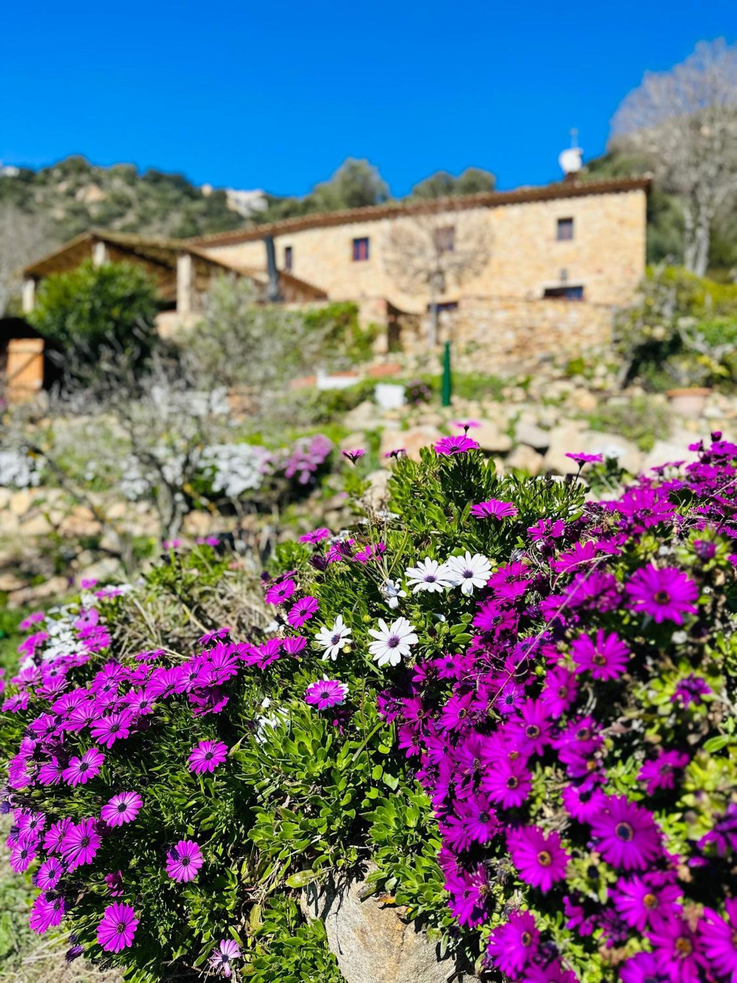 B&B La Vista Brava Platja d'Aro  Exterior foto