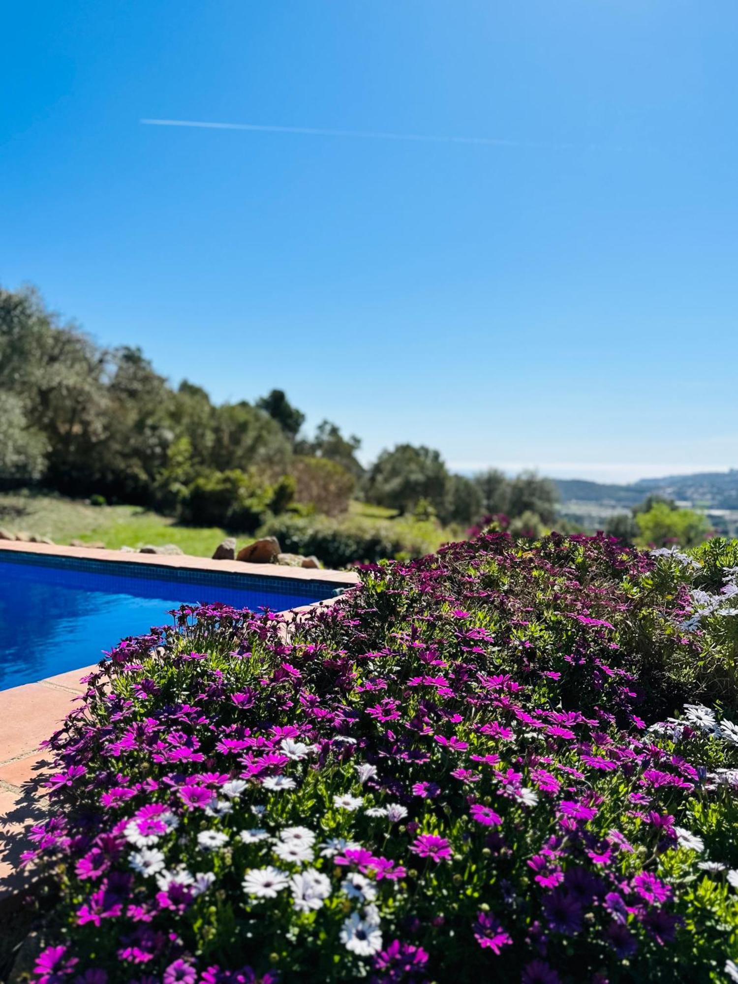 B&B La Vista Brava Platja d'Aro  Exterior foto