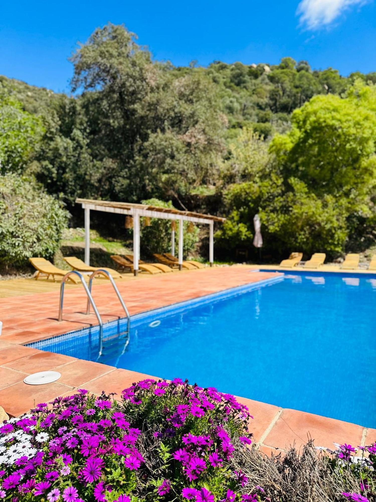 B&B La Vista Brava Platja d'Aro  Exterior foto